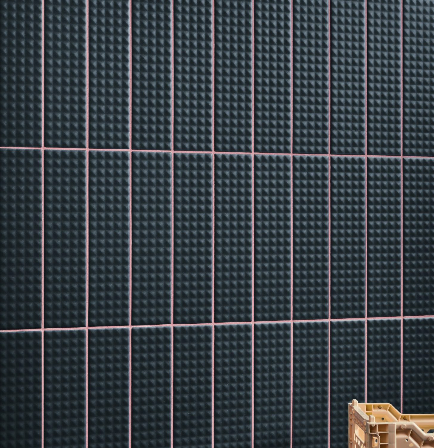 Biscuit_amb_Notte_Stud_1 Biscuit_amb_Notte_Stud_1